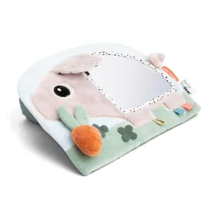 Activity Spiegel Pigee