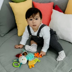 Activity-Schmetterling