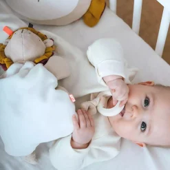 Activity-Spielzeug Löwe