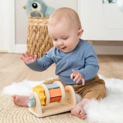 Aktivitäten-Kreisel Birdee