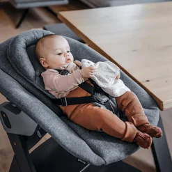 Alpha Bouncer Premium Light grey