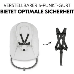 Alpha Bouncer Premium Light grey