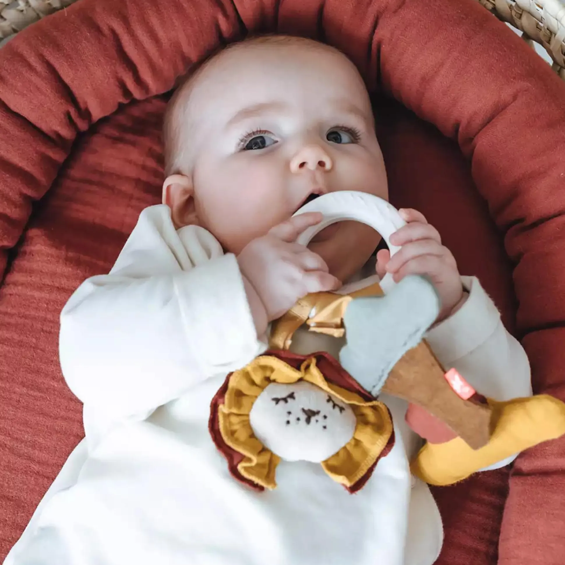 Beißring Löwe Sonnenuntergang