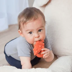 Beißring Marienkäfer