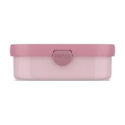 Brotdose Campus  Fairy Garden