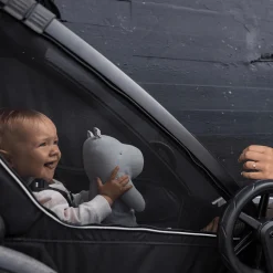 Chariot Sport 2 Single Black