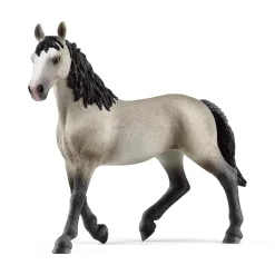 Cheval de Selle Francais Stute