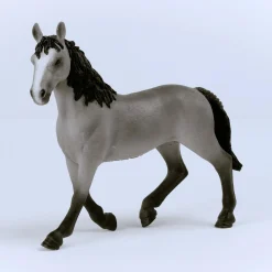 Cheval de Selle Francais Stute