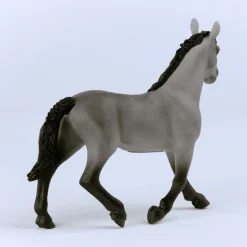 Cheval de Selle Francais Stute