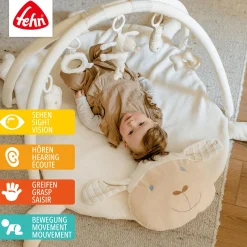 3-D-Activity-Decke Schaf