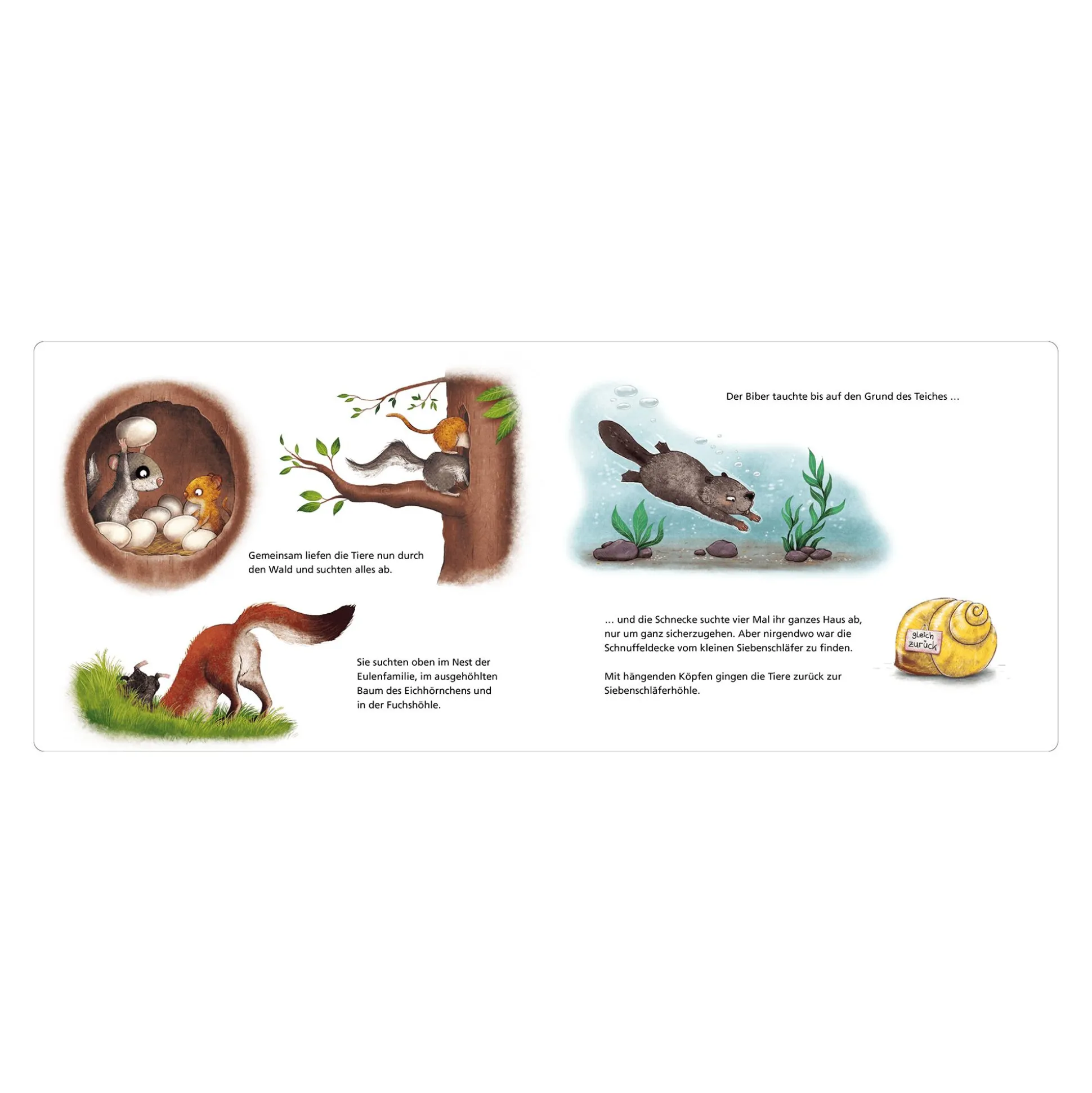 Die Geschichte vom kleinen Siebenschläfer, der seine Schnuffeldecke verloren hatte