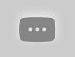 Dragonfly City-Kinderwagen Graphit/Midnight Black