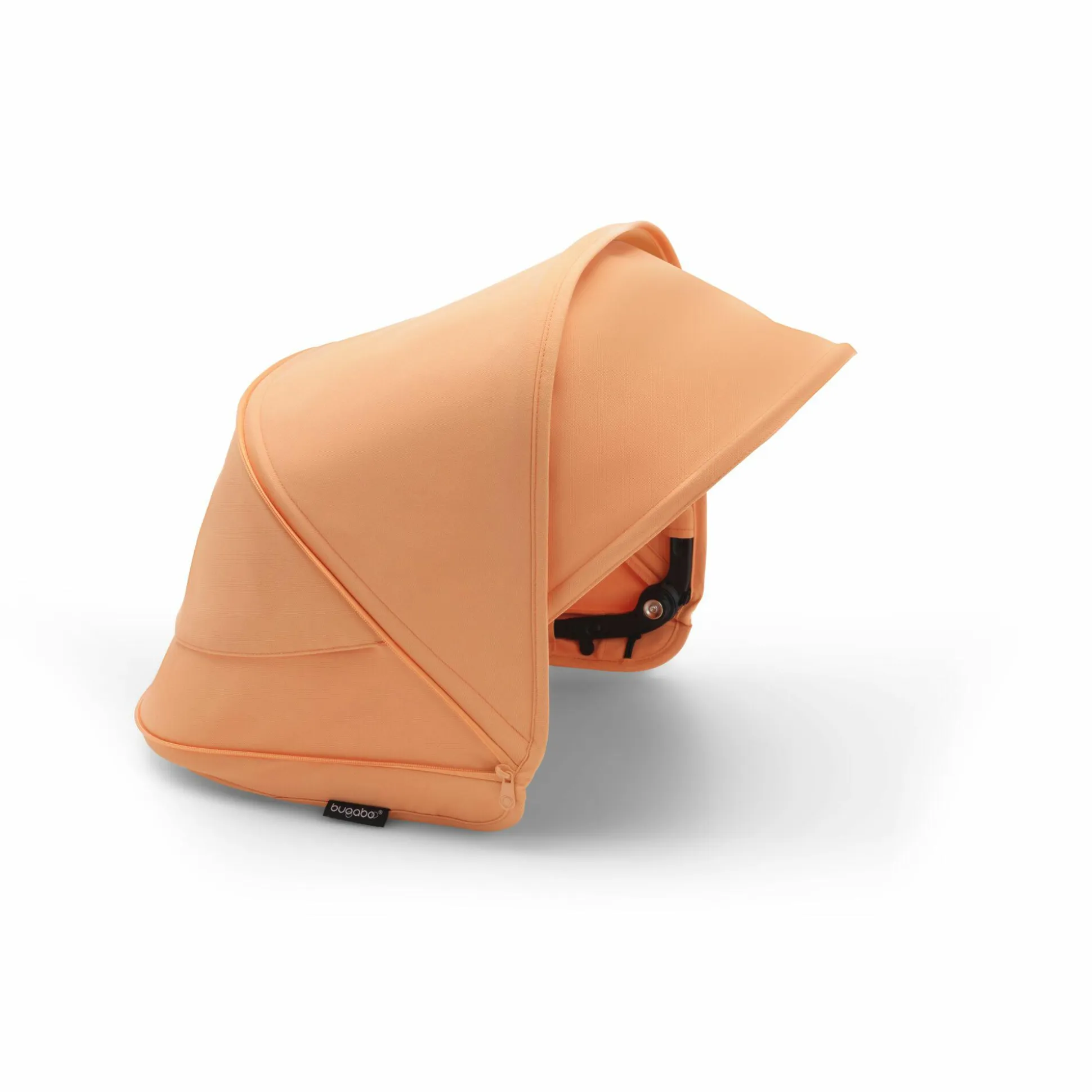 Dragonfly Sonnendach Island Coral