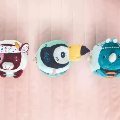 Entdeckungs-Tukan Pablo