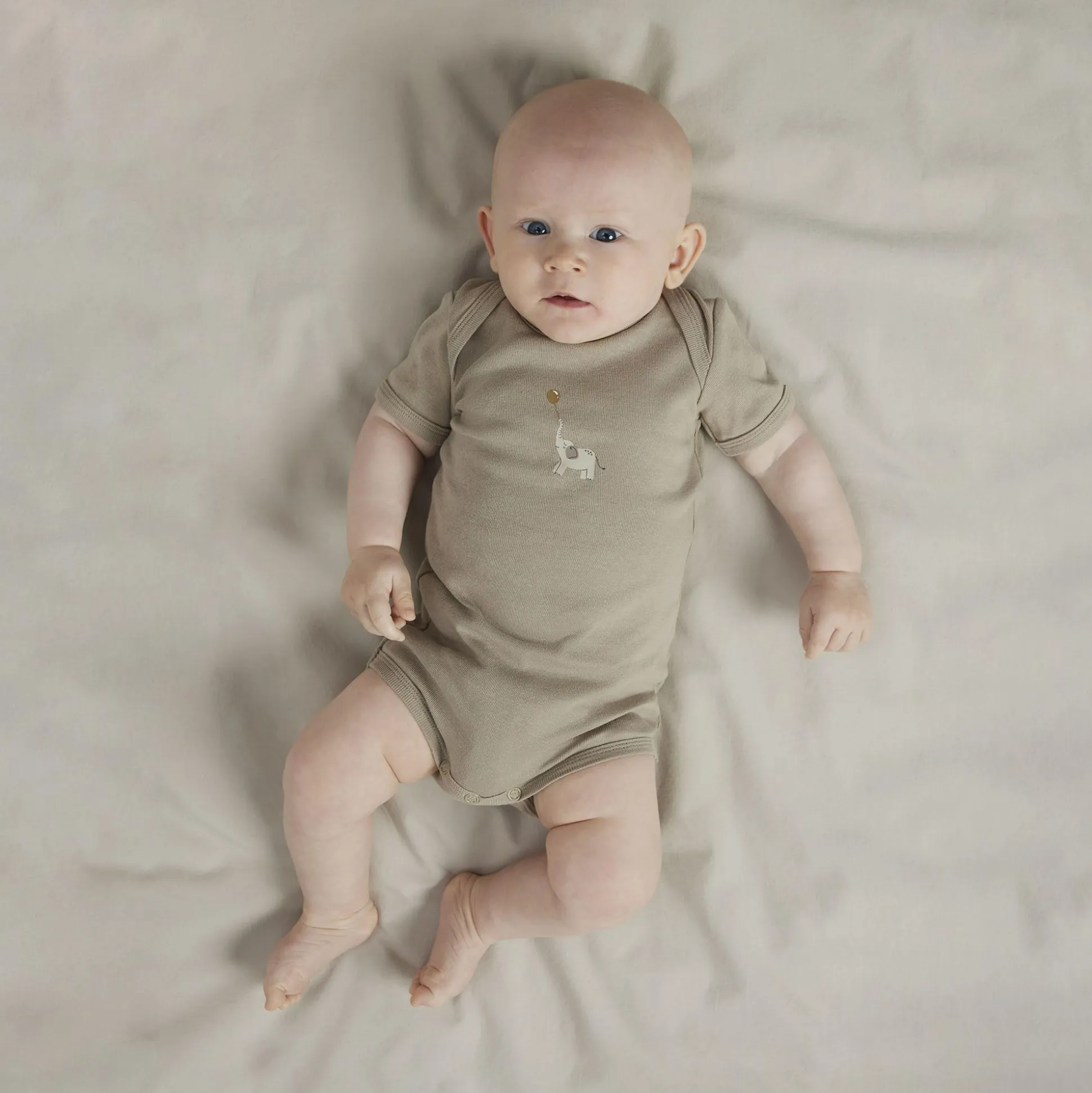 3er Pack Kurzarmbody