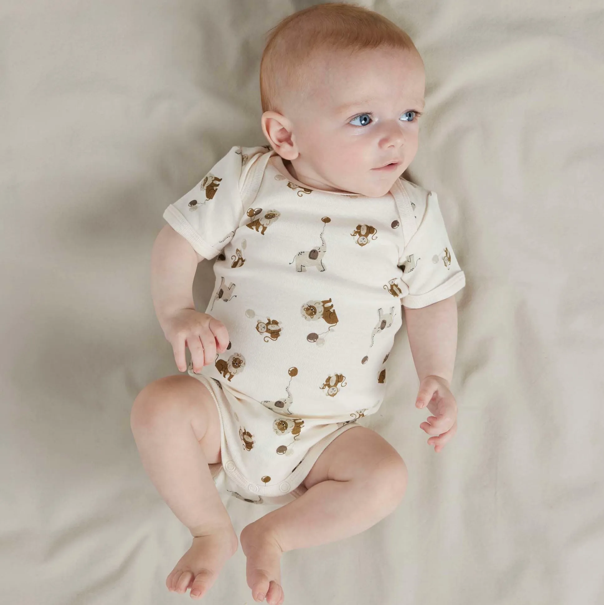 3er Pack Kurzarmbody