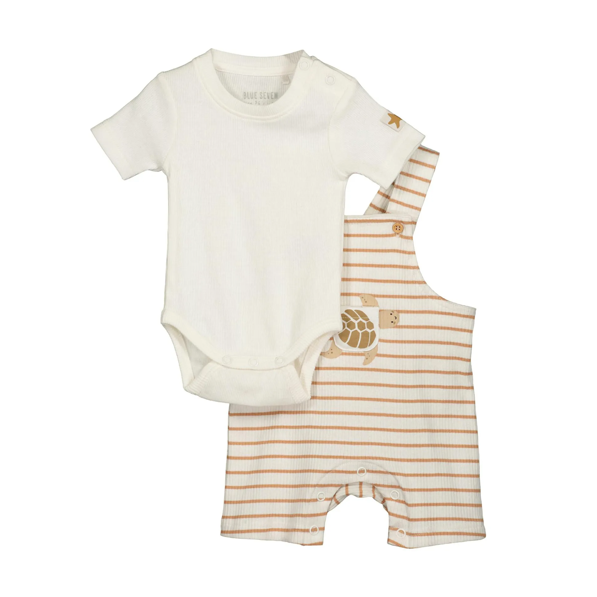 2er-Set Kurzarmbody und Latzhose Schildkröte