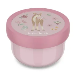 Fruchtbox Campus Fairy Garden