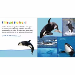 Hör mal rein am Meer