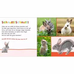 Hör mal rein Streicheltiere