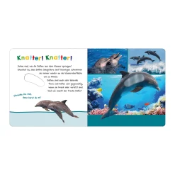 Hör mal rein, wer kann das sein? - Im Ozean