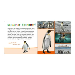 Hör mal rein, wer kann das sein? - Im Ozean