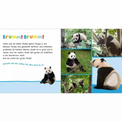 Hör mal rein, wer kann das sein? Im Dschungel