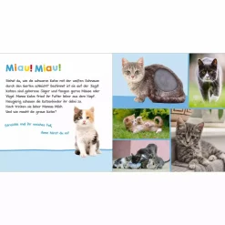 Hör mal rein, wer kann das sein? Haustiere