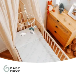 Keilkissen Cosymat Antibakteriell