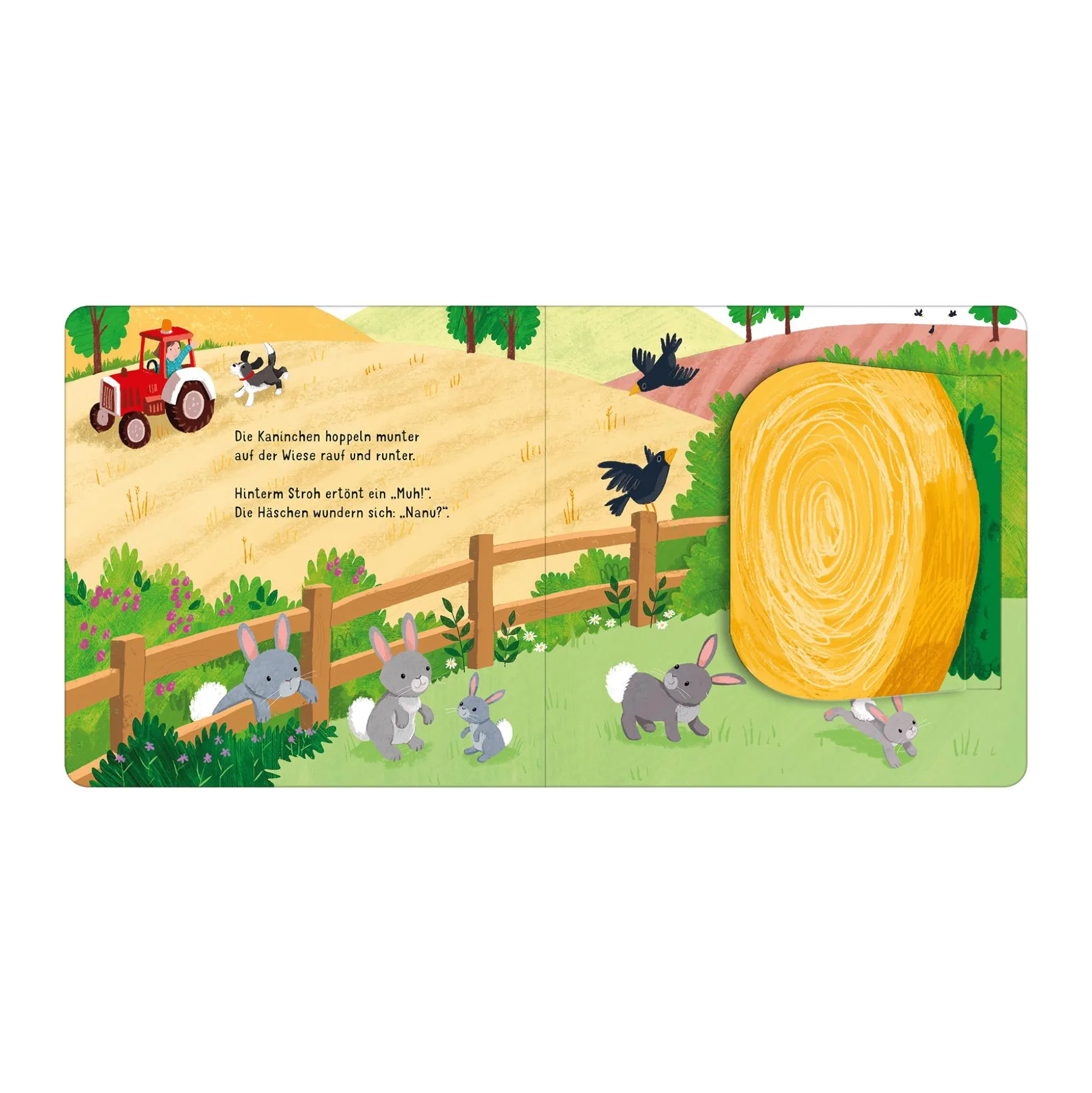 Klapp auf! Wer versteckt sich auf dem Bauernhof?