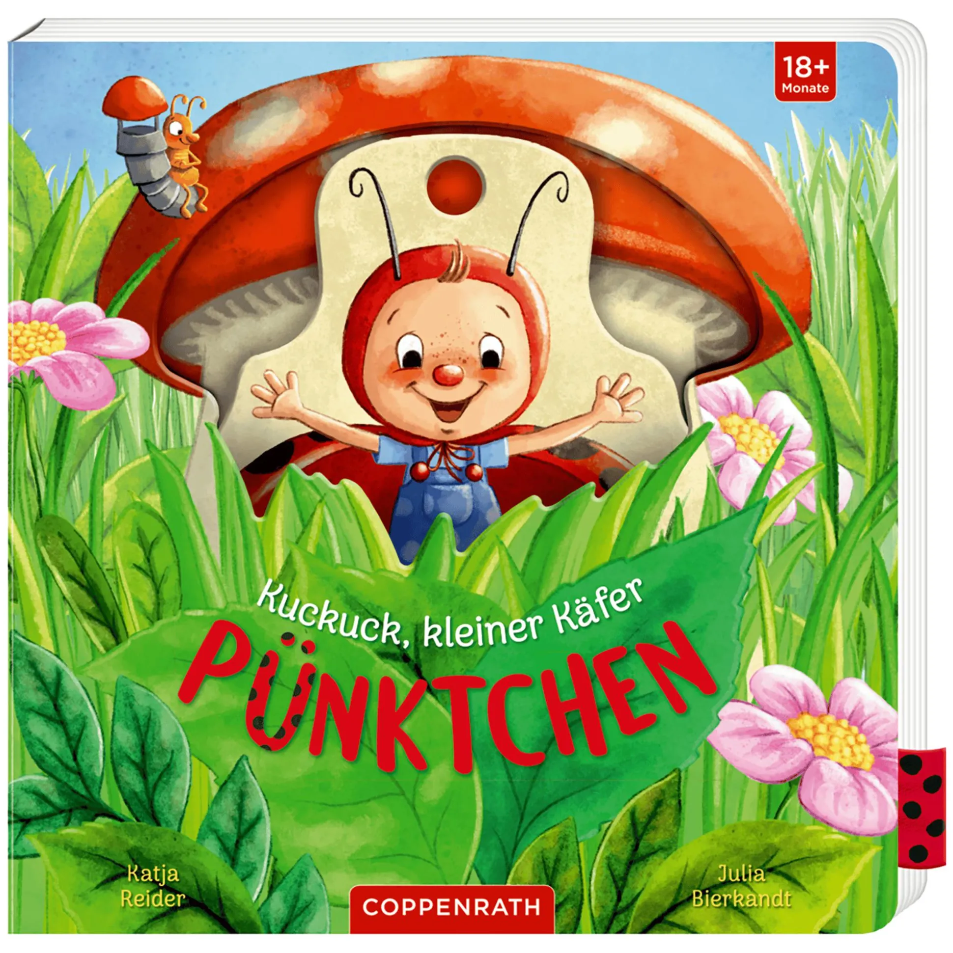 Kuckuck, kleiner Käfer Pünktchen