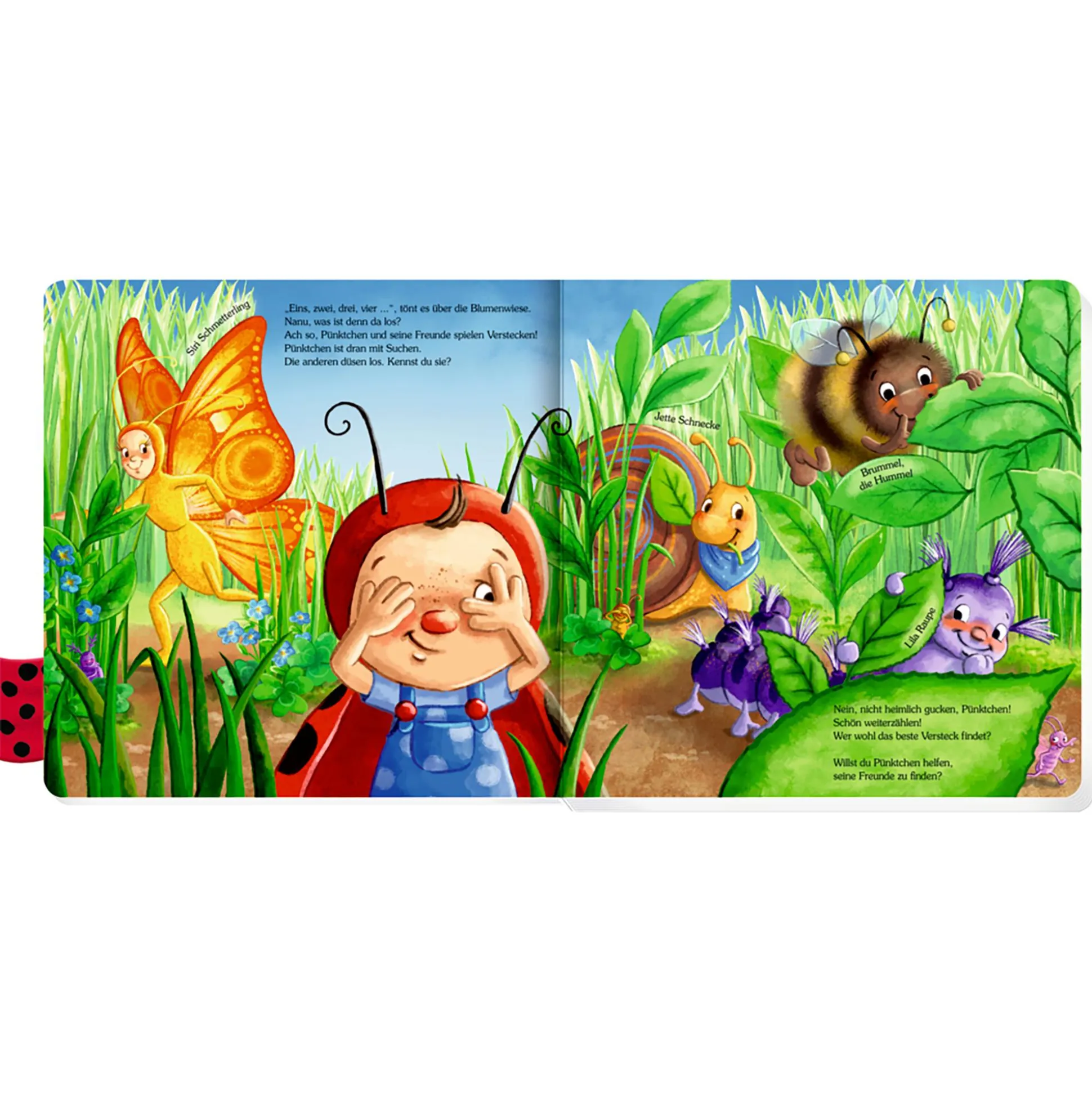 Kuckuck, kleiner Käfer Pünktchen