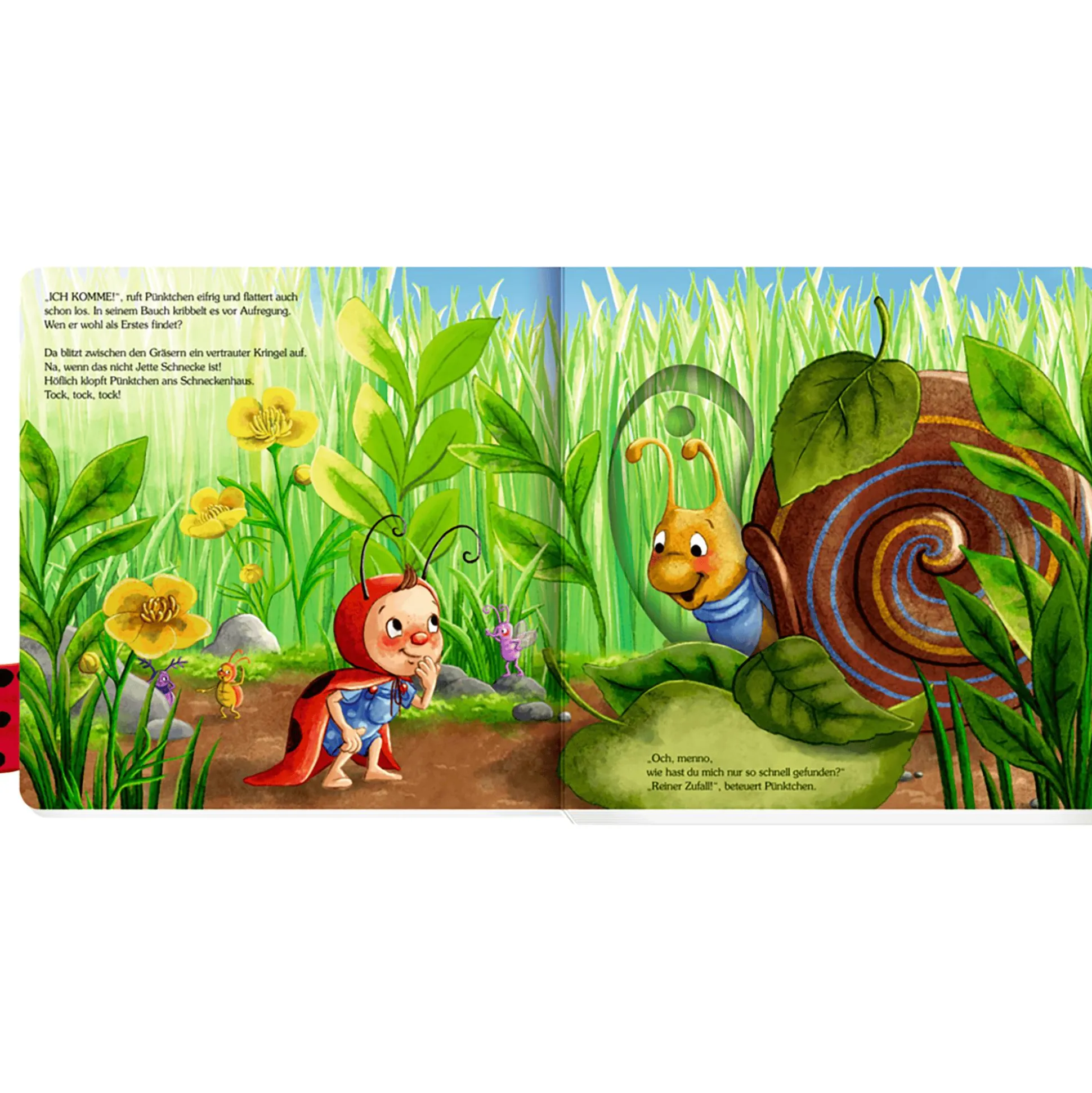 Kuckuck, kleiner Käfer Pünktchen