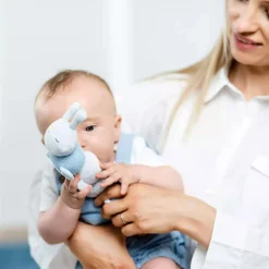 Lapidou Activity Raupe