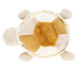 Lapidou Aktivitätenschildkröte