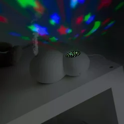 Luftbefeuchter und Projektor