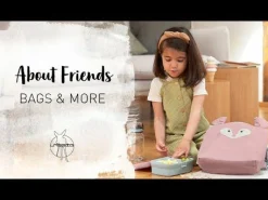 Lunch Set About Friends Dino