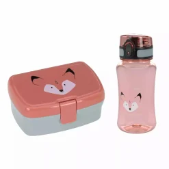 Lunch Set About Friends Fox