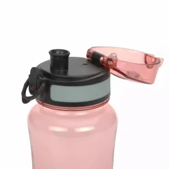 Lunch Set About Friends Fox