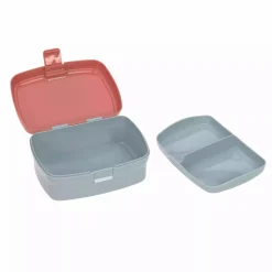 Lunch Set About Friends Fox