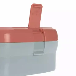 Lunch Set About Friends Fox