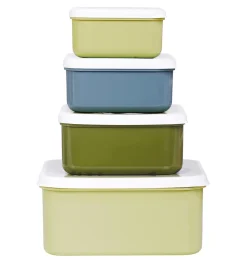 Lunchbox 4er-Set Dinosaurier