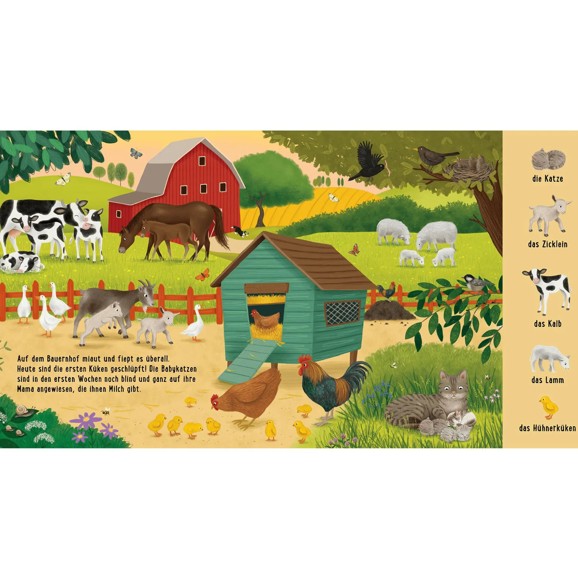 Mein erstes Natur-Wimmelbuch: Bei den Tierkindern