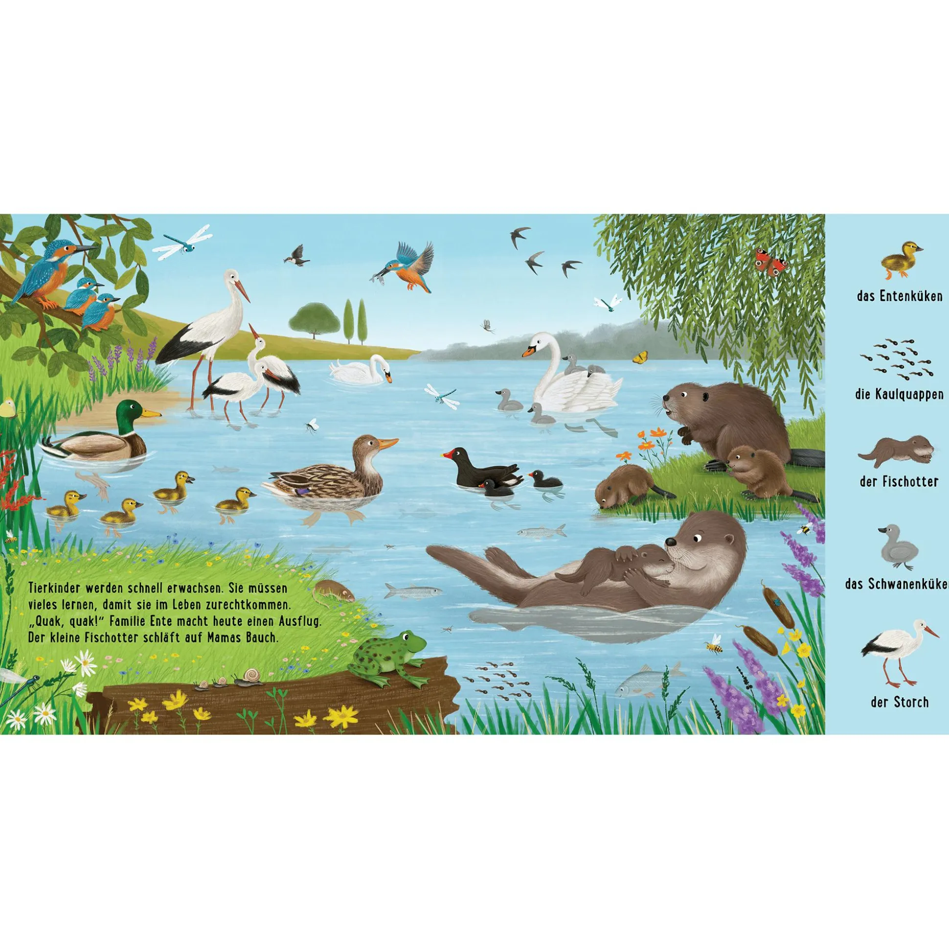 Mein erstes Natur-Wimmelbuch: Bei den Tierkindern