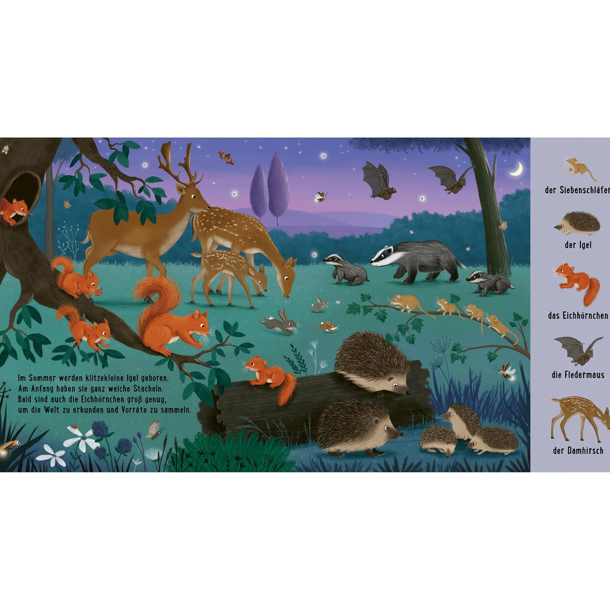 Mein erstes Natur-Wimmelbuch: Bei den Tierkindern