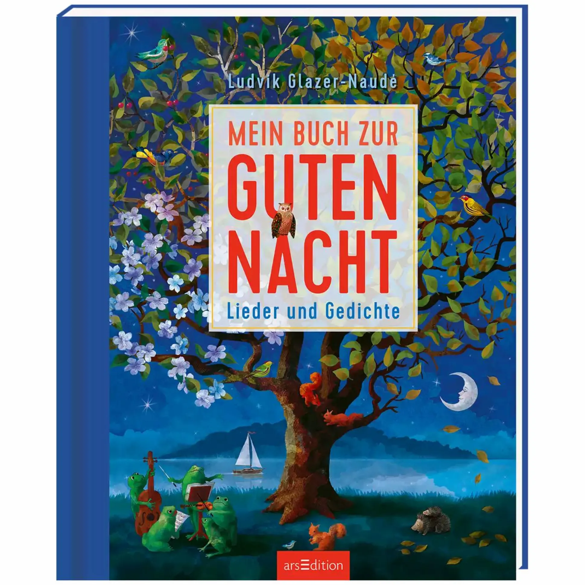 Mein großes Buch zur Guten Nacht