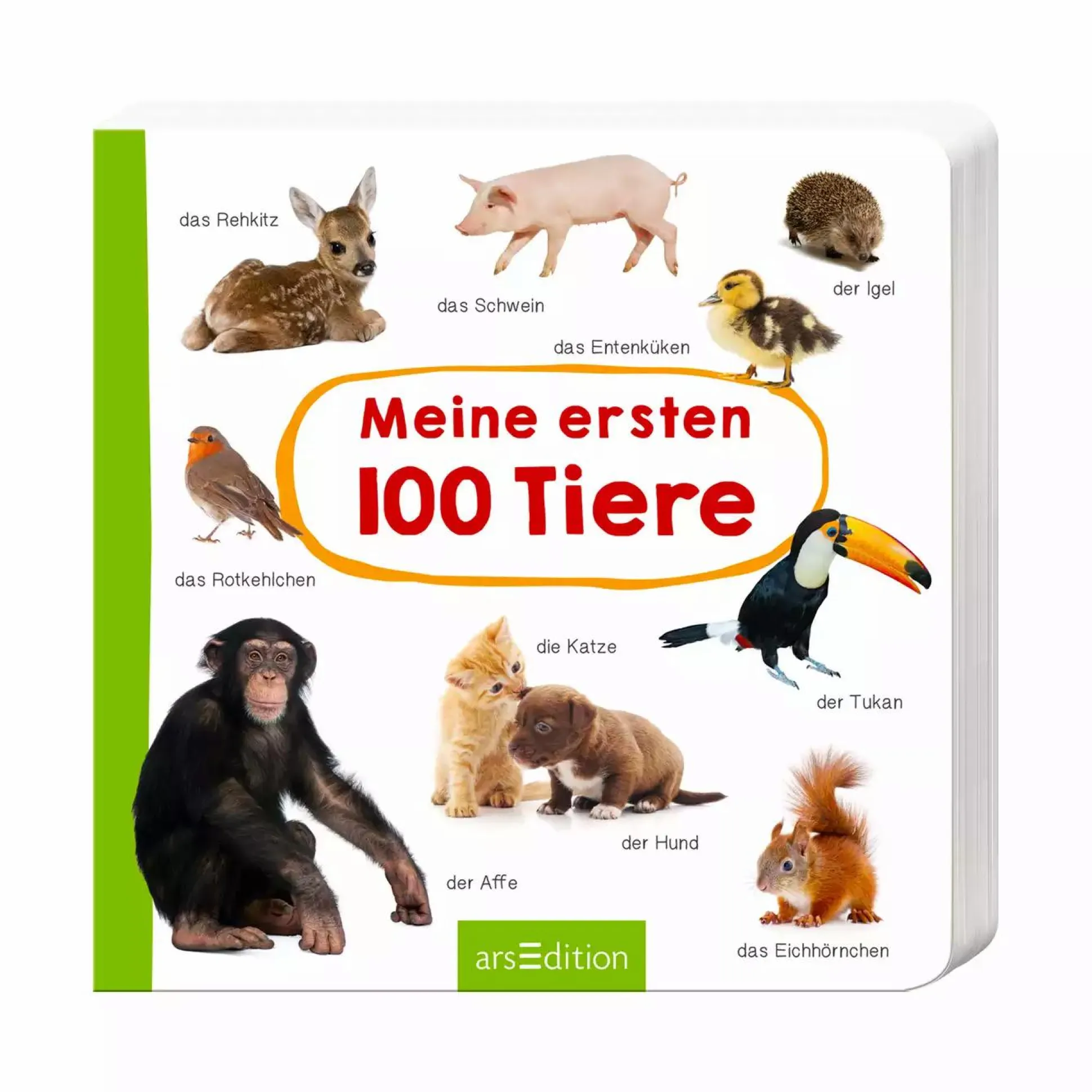 Meine ersten 100 Tiere