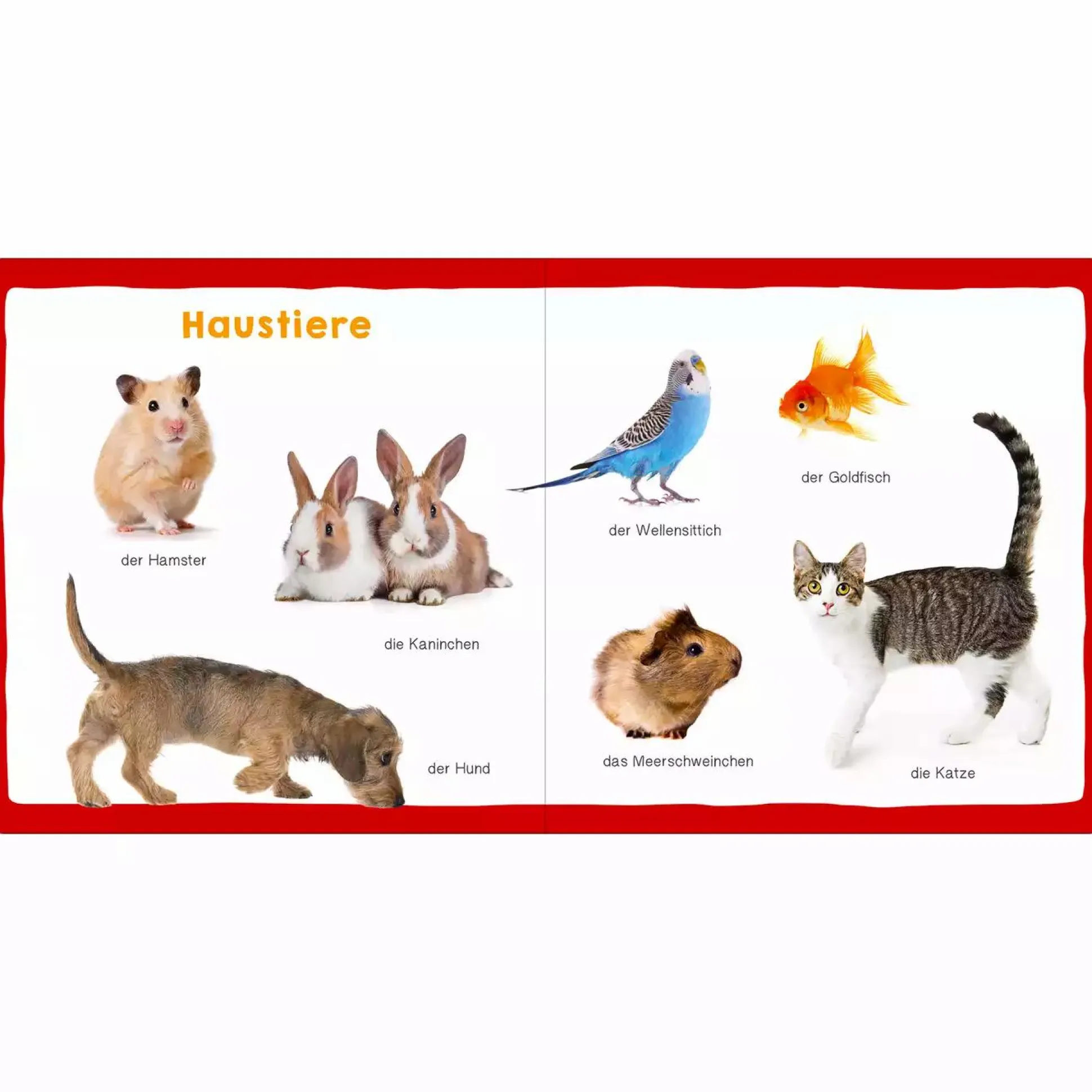 Meine ersten 100 Tiere