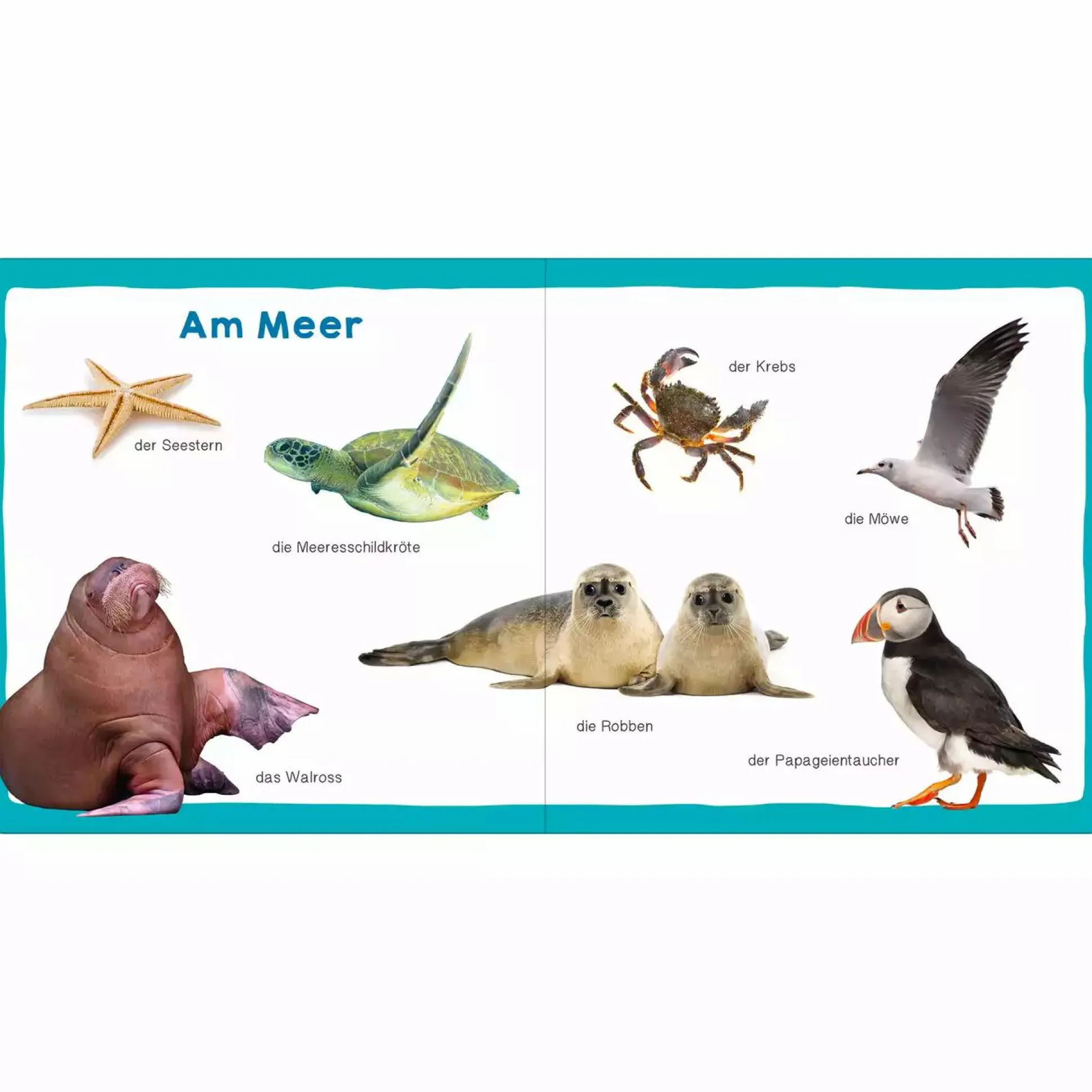 Meine ersten 100 Tiere