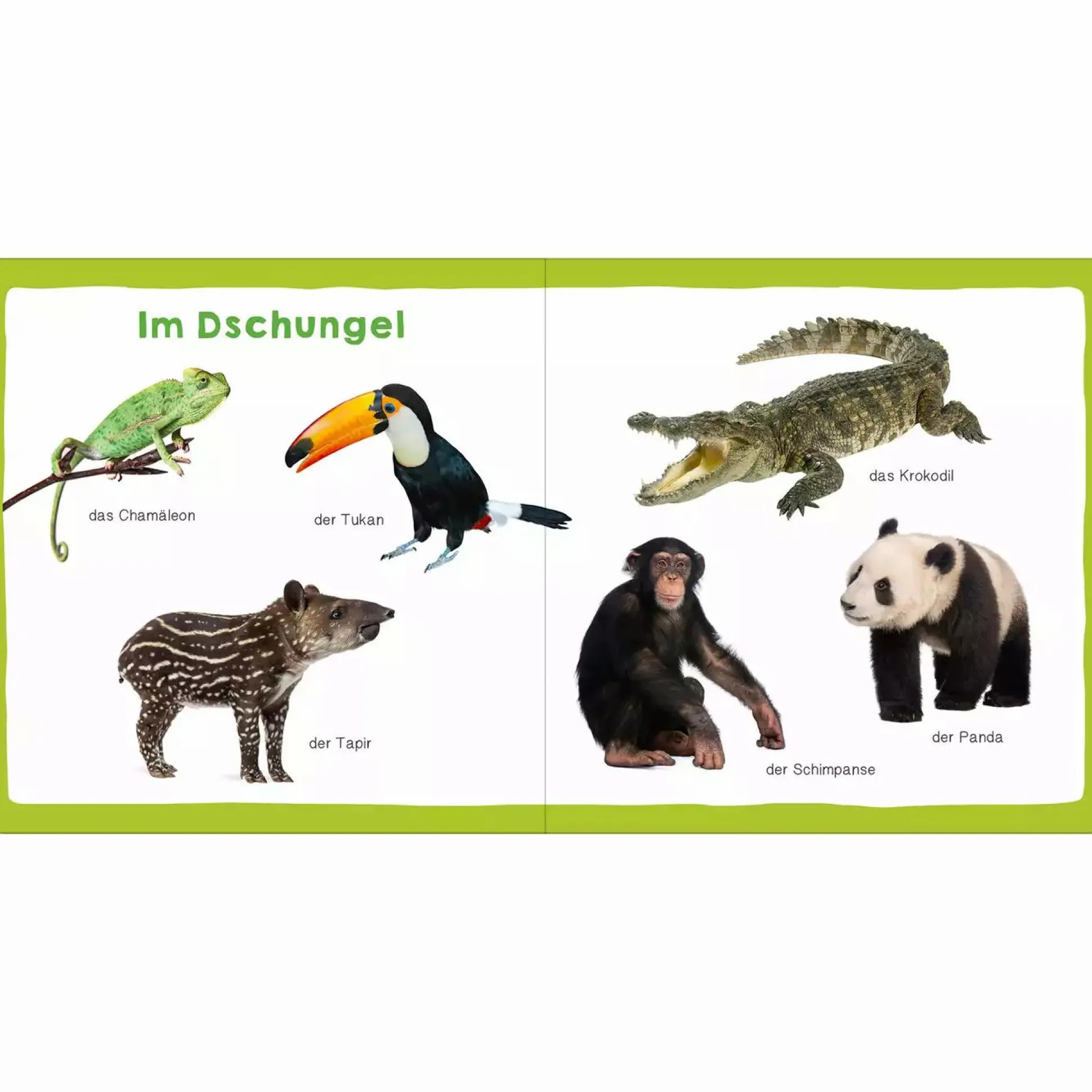 Meine ersten 100 Tiere